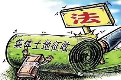 土地纠纷最有利的证据