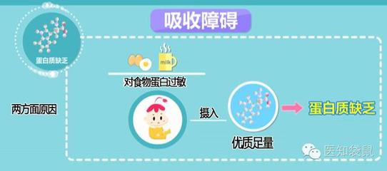 宝宝蛋白质过敏症状