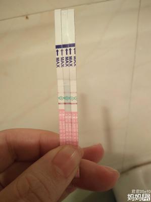 不是排卵期排卵试纸两条杠
