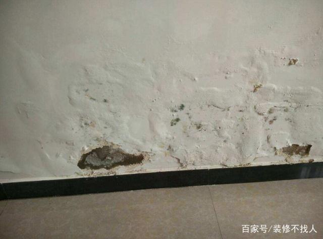 墙面泛碱的原因
