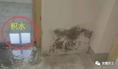 墙面鼓包是漏水了吗