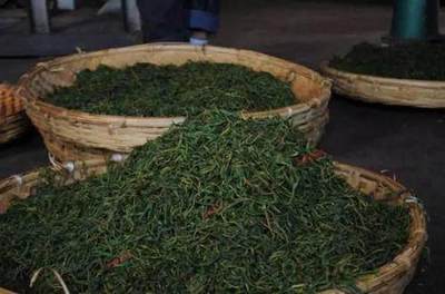茶叶的发酵