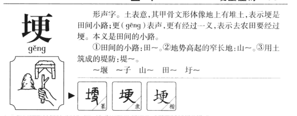 竟五行属什么