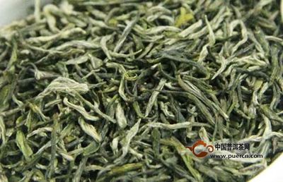 陕南绿茶