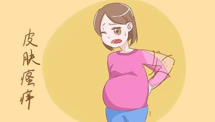 怀孕的现象