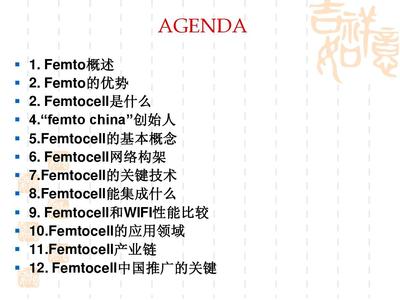 什么是femto网络