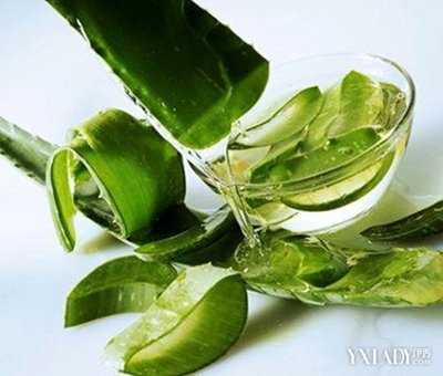 能用芦荟直接涂痘痘吗
