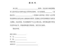 代领证件委托书