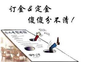 定金和违约金