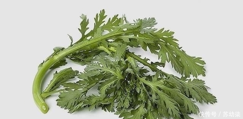 咳嗽可以吃茼蒿吗