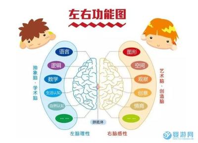 人脑开发100会怎样