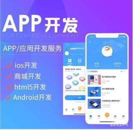 app开发需要什么知识