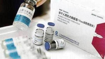 狂犬疫苗影响怀孕吗