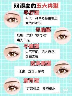 双眼皮 类型