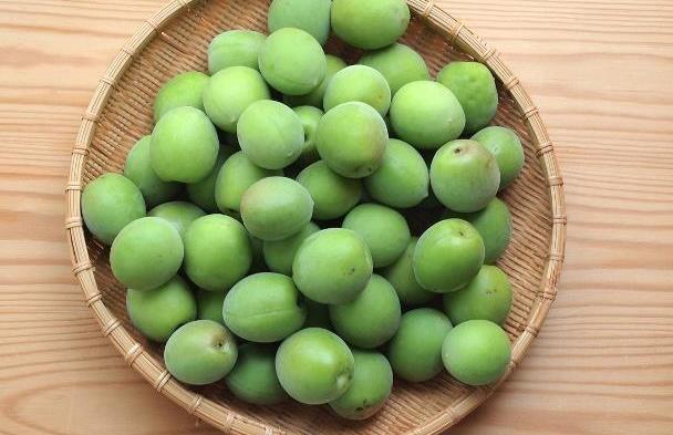 孕妇能不能吃青梅