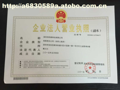 公司法人营业执照