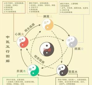 钱的五行属什么
