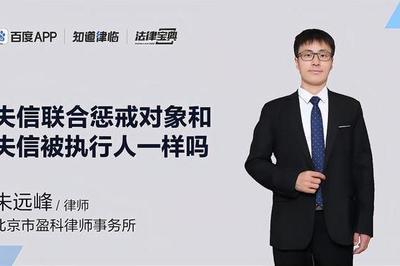 执行人什么意思
