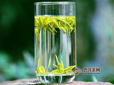 安吉白茶哪种好