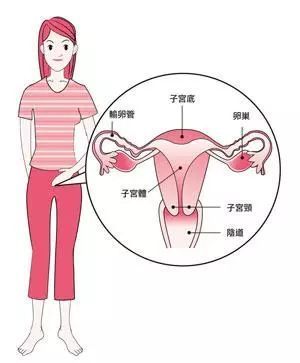 增加怀孕几率的方法