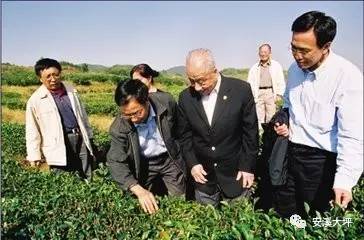 茶叶泰斗张天福