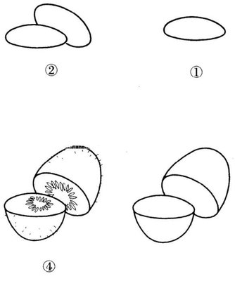 水果猕猴桃怎么画 猕猴桃的画法简笔画图片