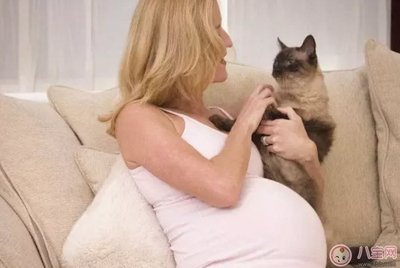孕妇养宠物