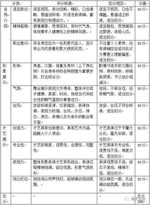 才艺评分细则怎么写