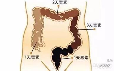 腹胀如鼓是怎么回事
