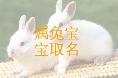 属兔宜取名字