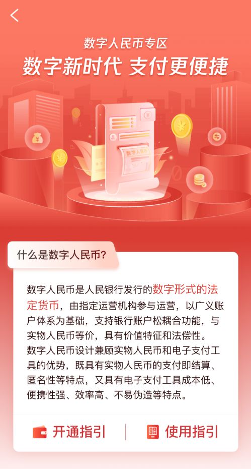 什么是支付活动