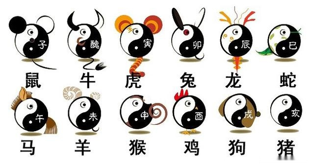 12生肖运程