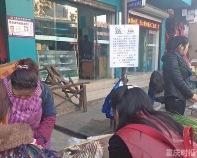 卖鲨鱼犯法吗