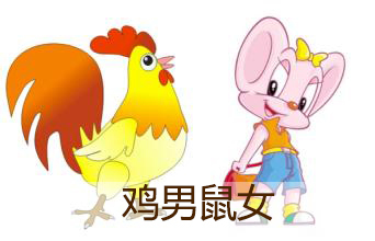 属鼠的和属鸡的
