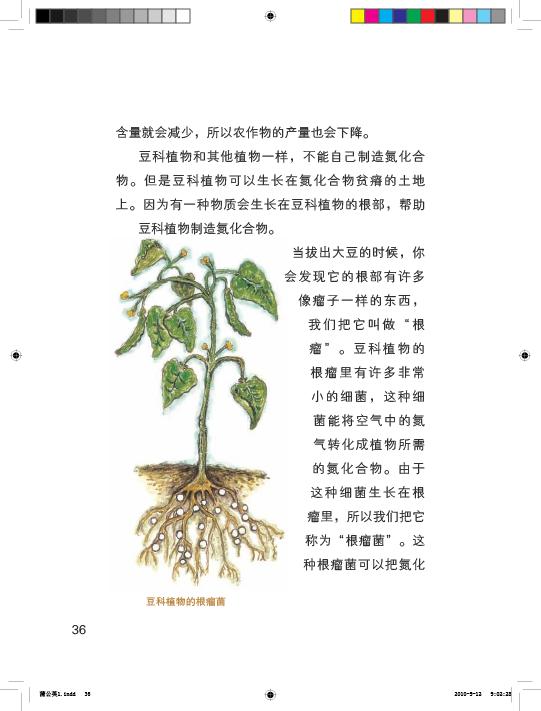 初中有关植物的开头怎么写