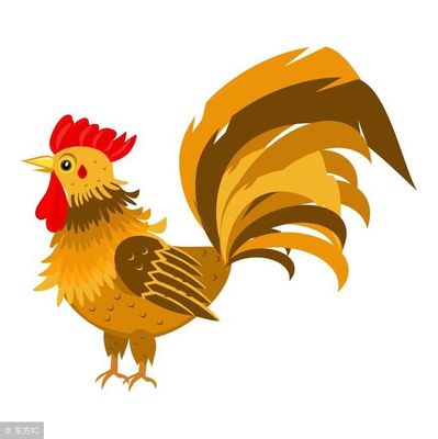 属鸡的今年几月结婚好
