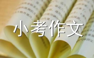 我想对小鸟说什么400字作文怎么写