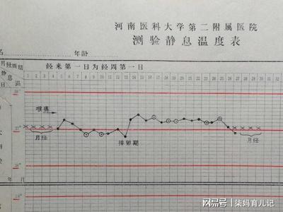 停经后几天是排卵期