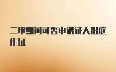 二审申请证人出庭