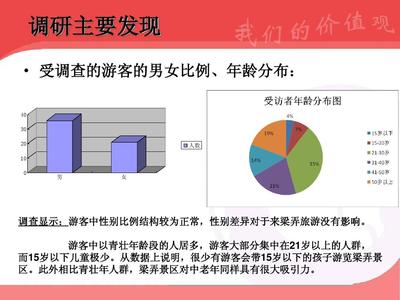 社会调查ppt怎么做