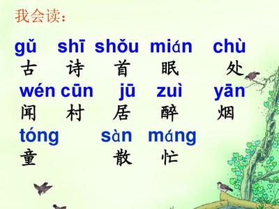 春晓这首古诗怎么写