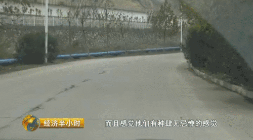 遮天写的怎么样