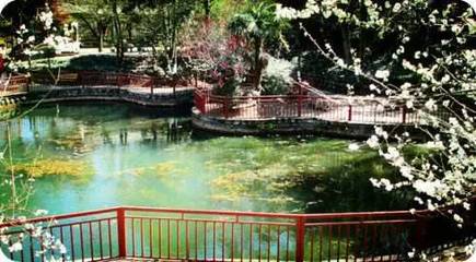 附近有没有公园