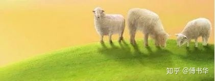 羊怎么吃草