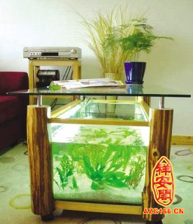 鱼缸 风水