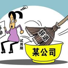 试用期怀孕了