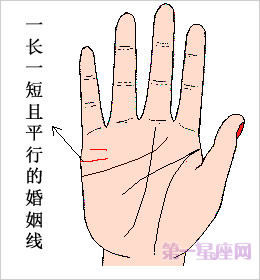 婚姻线一长一短