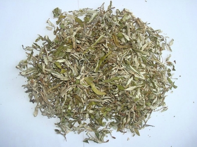 孕妇能喝沙棘茶吗