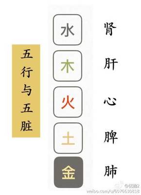 鑫五行