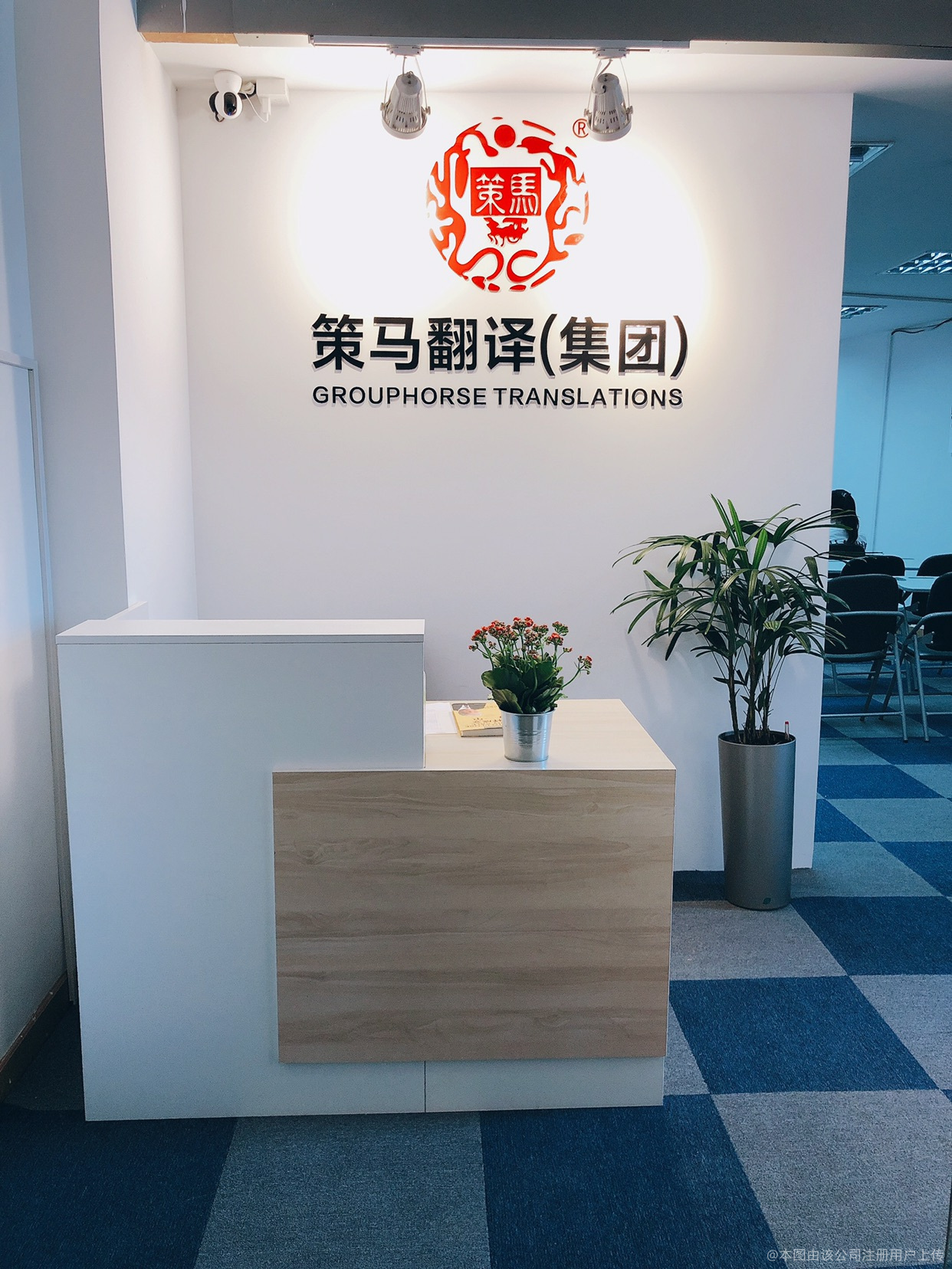 策马翻译